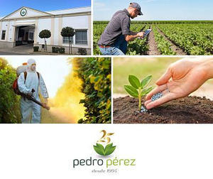 PEDRO PEREZ AGRÍCOLA cumple su 25 aniversario mientras reafirma su colaboración con CEDEC®