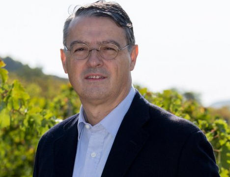 Pau Roca nuevo director general de la Organización Internacional de la Viña y el Vino.