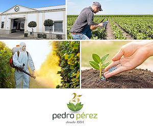 Pedro Pérez Agrícola obtiene nuevas distinciones de calidad empresarial CEDEC