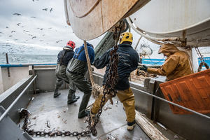 Los gobiernos deben actuar urgentemente y proteger los importantes recursos pesqueros del Atlántico nororiental