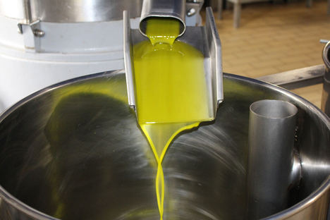 Acesur lidera Phenoils, un proyecto europeo para conseguir la extracción de aceite de oliva virgen extra saludable