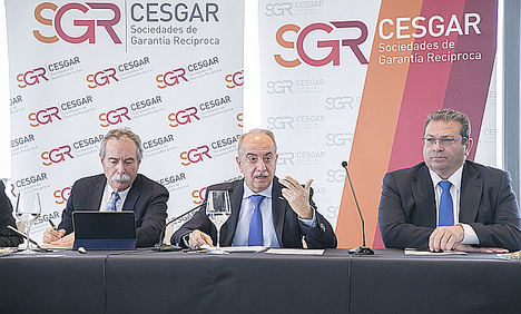 Presentación VIII Informe Cesgar.