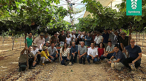 Productores de uva de mesa de 5 países visitan Murcia para conocer las variedades de ITUM