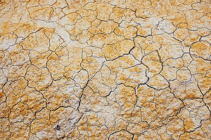 ¿Puede la tecnología frenar la desertificación?