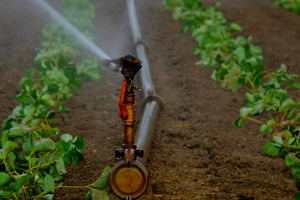 La tecnología ayuda a ahorrar al campo entre un 20% y un 30% de agua sobre el riego tradicional