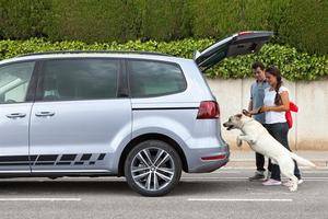 Ocho consejos de SEAT para viajar con mascotas