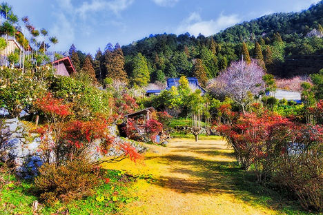 Sendero en el pueblo de Ohara.