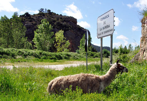 Valle de las Caderechas. Sodebur