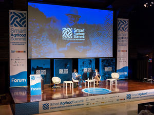 Startup Europe Smart Agrifood Summit incluirá el foro de innovación del aceite de oliva y un foro de eficiencia energética aplicada a los cultivos