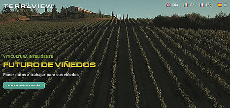 Drones, inteligencia artificial y realidad aumentada llevan a España a la era de la viticultura de precisión