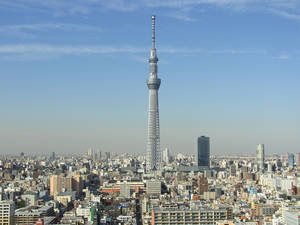 Un recorrido por el Tokio más cultural y monumental