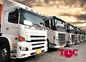 Top Courier cuenta las ventajas de tener un operador de transporte para los envíos internacionales