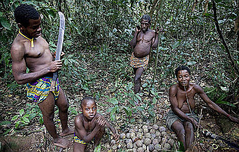 Tribus ‘pigmeas’ como los bakas han vivido en las selvas de la cuenca del Congo durante milenios. Están siendo expulsados ilegalmente en nombre de la conservación