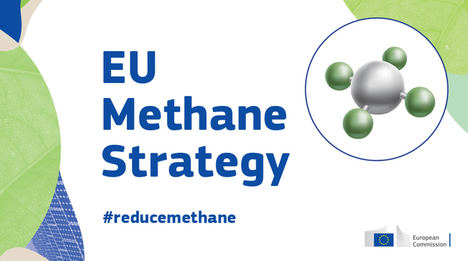 Unión de Uniones lamenta que la estrategia europea de metano criminalice a la ganadería y fije objetivos poco realistas