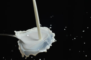 Unión de Uniones denuncia que en la guerra de precios de la leche de la distribución siempre acaba perdiendo el ganadero
