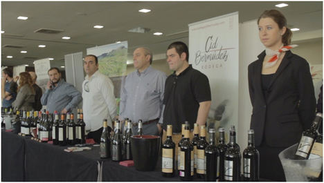 Vinalium celebró la cuarta edición de su “Feria de Vinos”