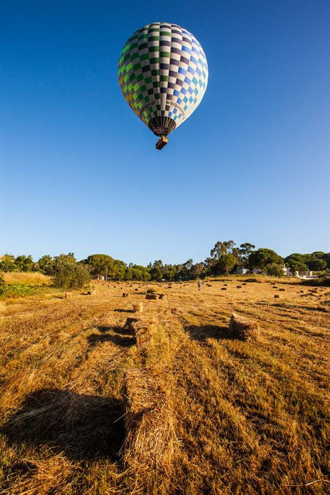 Windpassenger: Volar sin alas líderes de mercado en Portugal desde 2004