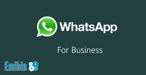 Whatsapp, la revolución que culminará en las webs corporativas en 2018