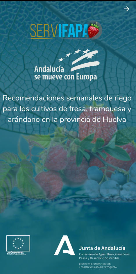 Ifapa crea ‘Riego Berry’, una app de recomendaciones de riego para los cultivos de fresa, frambuesa y arándanos