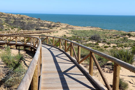 La senda de los gigantes fósiles de Doñana