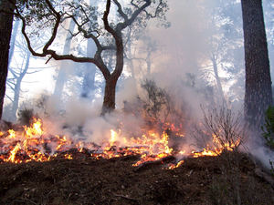 GMV organizará cinco demostraciones para consolidar una estrategia europea de gestión integrada de grandes incendios forestales