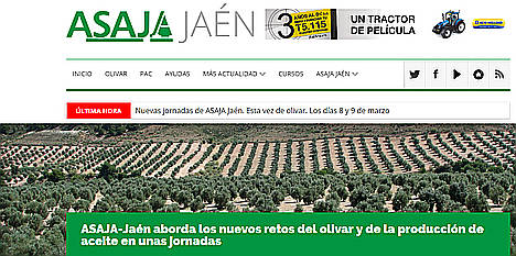 Asaja-Jaén ha indemnizado al 100% de los agricultores que contrataron los nuevos seguros paramétricos para evitar las consecuencias de la sequía en el olivo