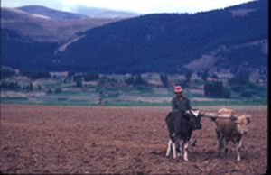 BID apoya formalización de los derechos de propiedad rural en Bolivia