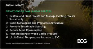 Los bosques del mundo están valorados en 150 B $, pero hay que actuar con rapidez y firmeza para evitar una pérdida de valor del 30% de aquí a 2050