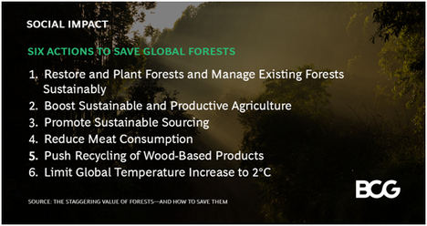 Los bosques del mundo están valorados en 150 B $, pero hay que actuar con rapidez y firmeza para evitar una pérdida de valor del 30% de aquí a 2050