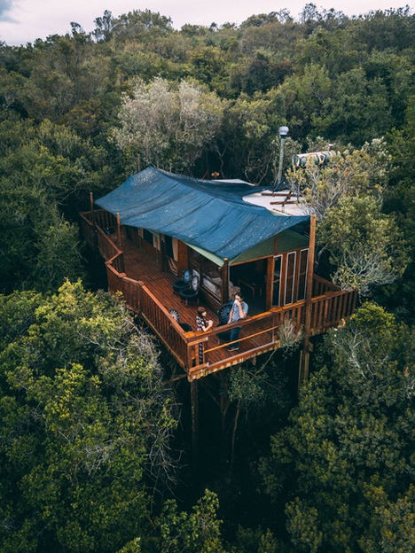 Casas en las alturas: vivir el lujo desde la copa de un árbol