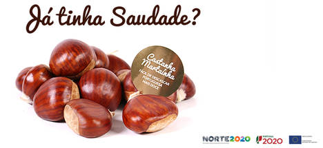 Ha nacido Saudade, la nueva marca de castañas portuguesas