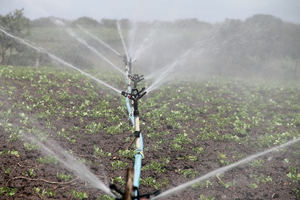 La desinfección sostenible del agua, un activo para la reducción de la huella hídrica en la industria alimentaria