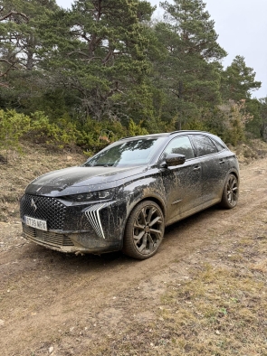 DS 7 Plug-in Hybrid AWD y Michelin Crossclimate2
 