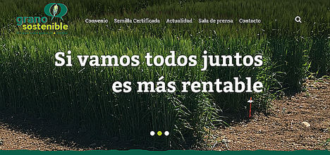 Grano Sostenible estrena página web