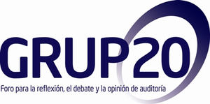 Grupo20 propone la instauración de la auditoría conjunta obligatoria en España para abrir el mercado a una competencia más eficiente