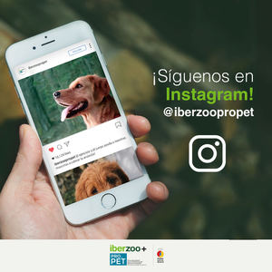 Iberzoo+Propet abre su perfil en Instagram