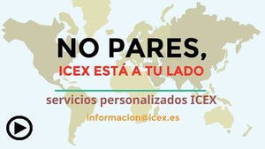 ICEX refuerza los Servicios Personalizados a las empresas