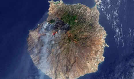 La indemnización de MAPFRE al Cabildo de Gran Canaria por los daños del incendio del verano de 2019 alcanzó los 7,3 m €