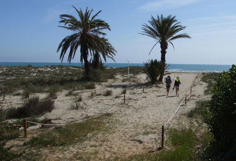 Playa El Pinar.