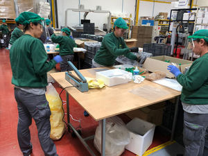 La onubense Polisur y la granadina Plásticos Alber se unen para fabricar máscaras de protección a escala industrial