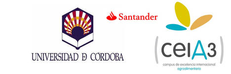 La UCO, ceiA3 y el Santander seguirán colaborando para impulsar el emprendimiento y la innovación