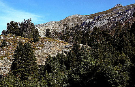 Aprobada la nueva planificación de la Sierra de las Nieves