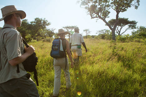 Cinco destinos para disfrutar del auténtico safari en Sudáfrica