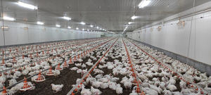 Aquactiva Solutions instala un sistema ecológico de tratamiento de agua en una granja avícola de Castellón