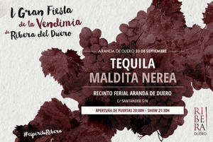 Aranda de Duero se prepara para la 1ª Gran Fiesta de la Vendimia de Ribera del Duero