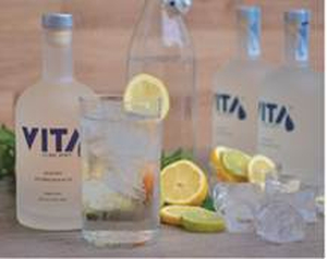 Nace VITA, la nueva bebida espirituosa que se mezcla con agua y engorda un 45% menos que un Gin Tonic