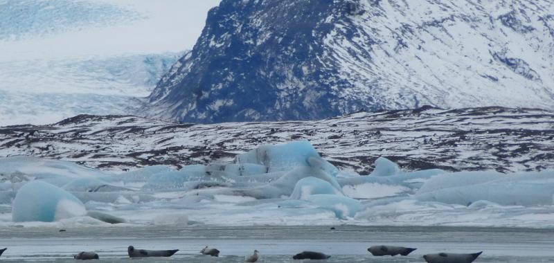 Islandia