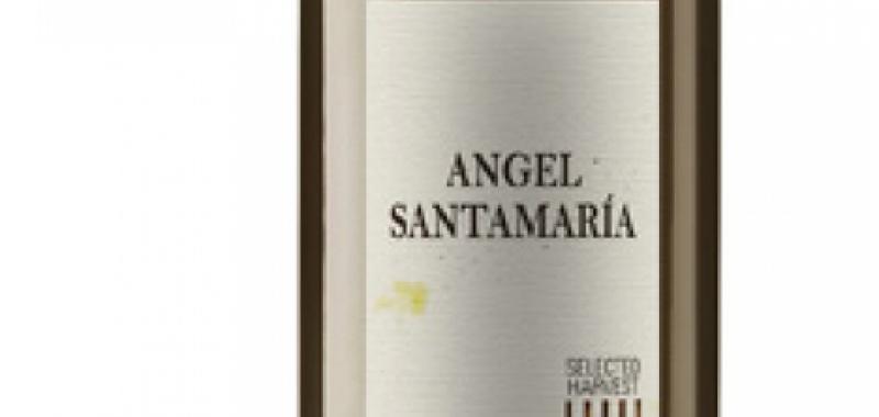 AngelSantamaria Blanco Crianza