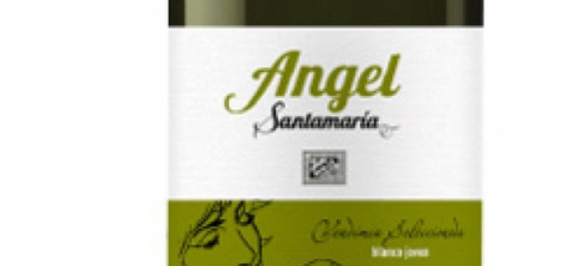 AngelSantamaria Blanco Joven